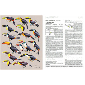 HANDBOOK OF THE BIRDS OF THE WORLD, VOL. 7. JACAMARS TO WOODPECKERS_1