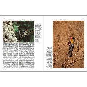 HANDBOOK OF THE BIRDS OF THE WORLD, VOL. 7. JACAMARS TO WOODPECKERS 3