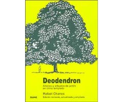 DEODENDRON. ÁRBOLES Y ARBUSTOS DE JARDÍN EN CLIMA TEMPLADO                                                                                            