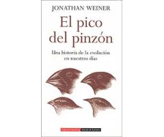 EL PICO DEL PINZÓN. UNA HISTORIA DE LA EVOLUCIÓN EN NUESTROS DÍAS