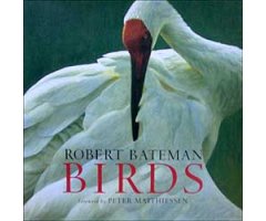 ROBERT BATEMAN. BIRDS                                                                                                                                 