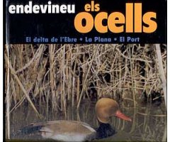 ENDEVINEU ELS OCELLS