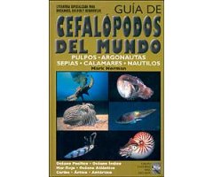 GUÍA DE LOS CEFALÓPODOS DEL MUNDO. PULPOS, ARGONAUTAS, SEPIAS, CALAMARES, NAUTILOS.