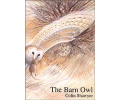 THE BARN OWL