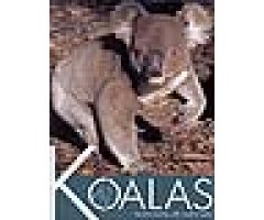 KOALAS