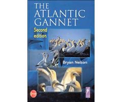 THE ATLANTIC GANNET