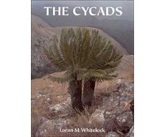 THE CYCADS                                                                                                                                            