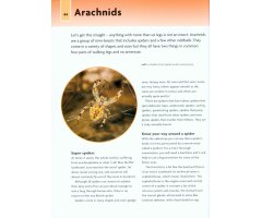 NICK BAKER'S BUG BOOK : DISCOVER THE WORLD OF MINI-BEASTS! 2
