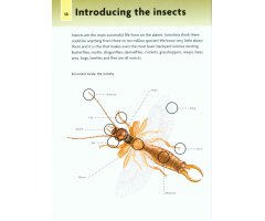 NICK BAKER'S BUG BOOK : DISCOVER THE WORLD OF MINI-BEASTS! 3
