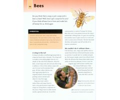 NICK BAKER'S BUG BOOK : DISCOVER THE WORLD OF MINI-BEASTS! 4