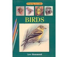 DRAWING IN COLOR. BIRDS