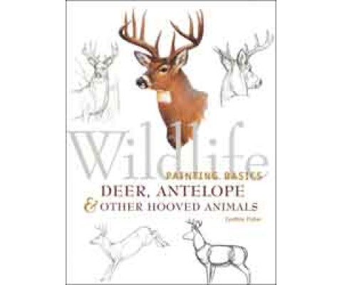 WILDLIFE PAINTING BASICS. DEER, ANTELOPE & OTHER HOOVED ANIMALS