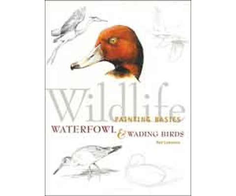WILDLIFE PAINTING BASICS: WATERFOWL & WADING BIRDS
