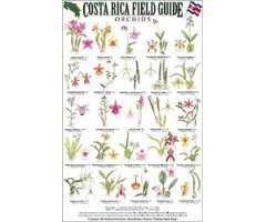 COSTA RICA FIELD GUIDE: ORCHIDS                                                                                                                       