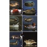 BIRDS OF THE MEDITERRANEAN_1