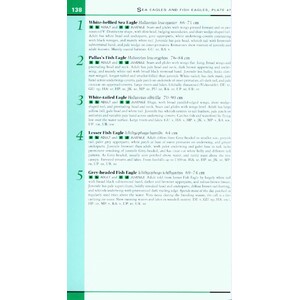 HELM FIELD GUIDES. BIRDS OF NORTHERN INDIA 4