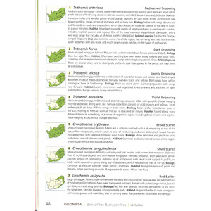 A FIELD GUIDE TO INSECTS OF SOUTH AFRICA. UPDATED 2004. THE FIRST COMPREHENSIVE GUIDE TO AFRICAN INSECTS WITH FULL-COLOUR PHOTOGRAPHS OF OVER 1200 SPE 3