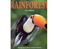 RAINFOREST. PHOTOGRAPHY BY BRUCE COLEMAN COLLECTION