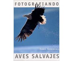 FOTOGRAFIANDO AVES SALVAJES