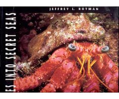 EYES INTO SECRET SEAS