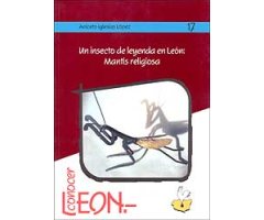 UN INSECTO DE LEYENDA EN LÉON: MANTIS RELIGIOSA