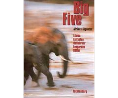 BIG FIVE                                                                                                                                              