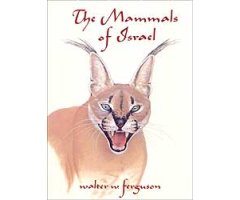 MAMMALS OF ISRAEL