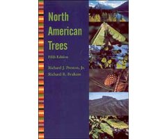 NORTH AMERICAN TREES