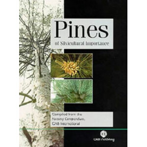 PINES OF SILVICULTURAL IMPORTANCE