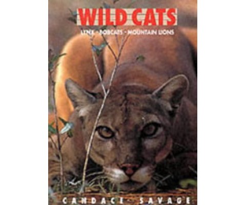WILD CATS. LYNX, BOBCATS, MOUNTAIN LIONS