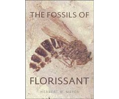 THE FOSSILS OF FLORISSANT