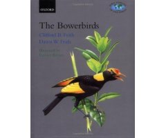 BIRD FAMILIES OF THE WORLD. BOWERBIRDS PTILONORHYCHIDAE                                                                                               