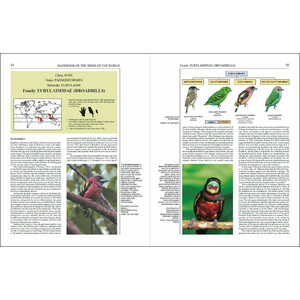 HANDBOOK OF THE BIRDS OF THE WORLD, VOL. 8. BROADBILLS TO TAPACULOS_1
