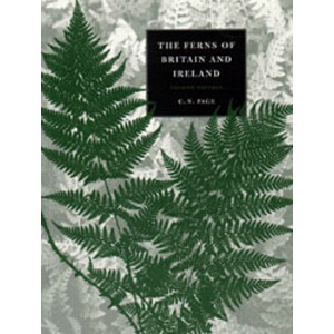 FERNS OF BRITAIN AND IRELAND