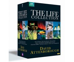 THE LIFE COLLECTION BBC DVD