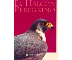 EL HALCÓN PEREGRINO                                                                                                                                   