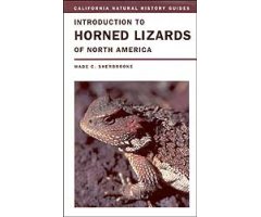 INTRODUCTION TO HORNED LIZARDS OF NORTH AMERICA