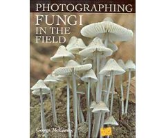 PHOTOGRAPHING FUNGI IN THE FIELD