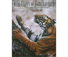 WILD TIGERS OF BANDHAVGARH. ENCOUNTERS IN A FRAGILE FOREST