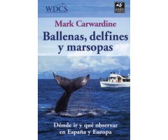 BALLENAS, DELFINES Y MARSOPAS. DÓNDE IR Y QUÉ OBSERVAR EN ESPAÑA Y EUROPA