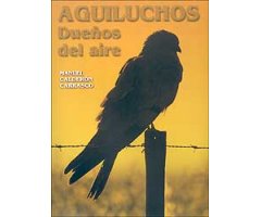 AGUILUCHOS DUEÑOS DEL AIRE