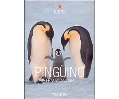PINGÜINO. FRANS LANTING