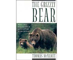 THE GRIZZLY BEAR