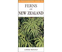 A PHOTOGRAPHIC GUIDE TO FERNS OF NEW ZEALAND