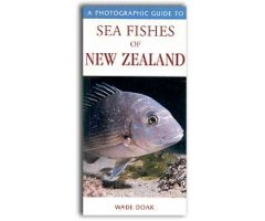 A PHOTOGRAPHIC GUIDE TO SEA FISHES OF NEW ZEALAND