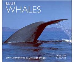 WORLDLIFE LIBRARY. BLUE WHALES