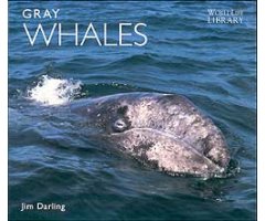 WORLDLIFE LIBRARY. GRAY WHALES