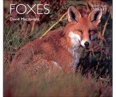 WORLDLIFE LIBRARY. FOXES