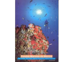 FONDOS MARINOS DE MURCIA. TIPOS, PAISAJES, FLORA Y FAUNA, ESTADO DE CONSERVACIÓN Y MEJORES INMERSIONES
