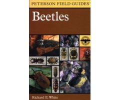 PETERSON FIELD GUIDES. BEETLES